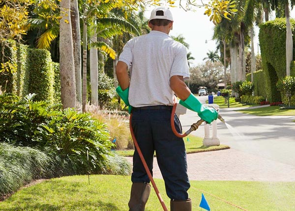 About Riverton KS Pest Control